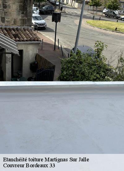 Etanchéité toiture  martignas-sur-jalle-33127 Couvreur Bordeaux 33