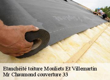 Etanchéité toiture  mouliets-et-villemartin-33350 Mr Chaumond couverture 33
