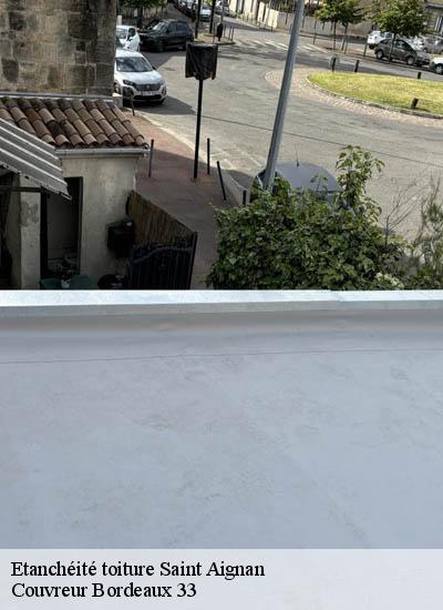 Etanchéité toiture saint-aignan-33126 Couvreur Bordeaux 33