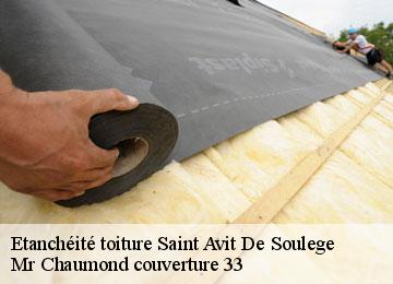 Etanchéité toiture  saint-avit-de-soulege-33220 Mr Chaumond couverture 33