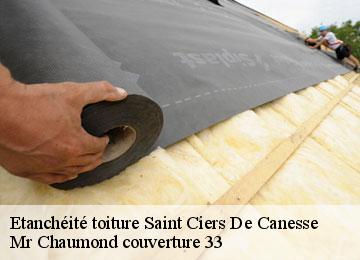 Etanchéité toiture  saint-ciers-de-canesse-33710 Mr Chaumond couverture 33