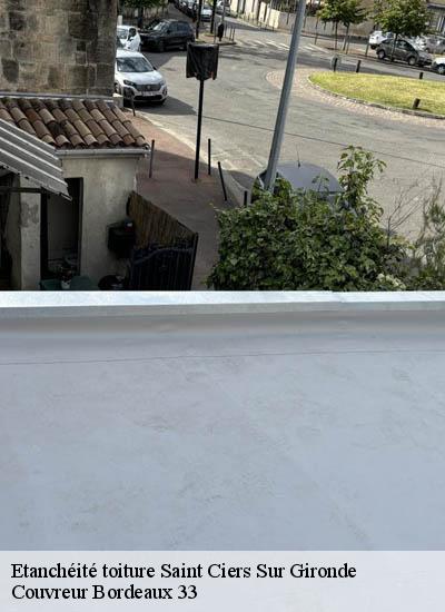 Etanchéité toiture  saint-ciers-sur-gironde-33820 Couvreur Bordeaux 33