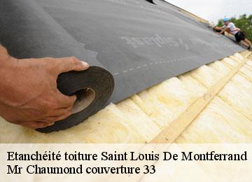 Etanchéité toiture  saint-louis-de-montferrand-33440 Mr Chaumond couverture 33