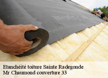 Etanchéité toiture  sainte-radegonde-33350 Mr Chaumond couverture 33