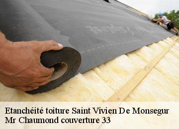 Etanchéité toiture  saint-vivien-de-monsegur-33580 Couvreur Bauer