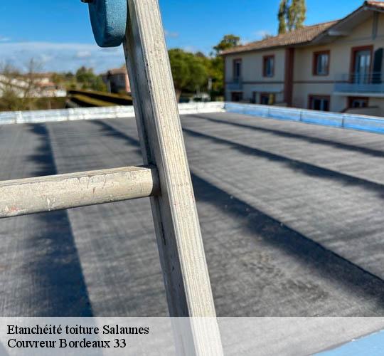 Etanchéité toiture  salaunes-33160 Couvreur Bordeaux 33