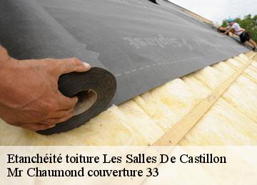 Etanchéité toiture les-salles-de-castillon-33350 Mr Chaumond couverture 33