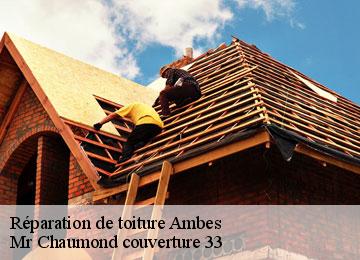 Réparation de toiture  ambes-33810 Mr Chaumond couverture 33