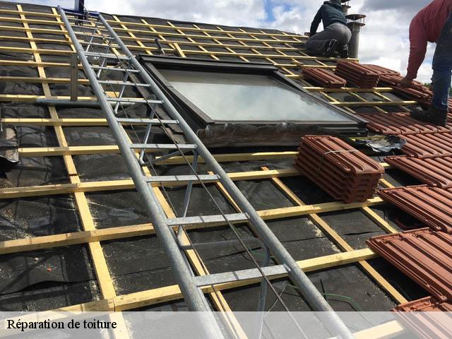 Réparation de toiture  berthez-33124 Couvreur Bordeaux 33