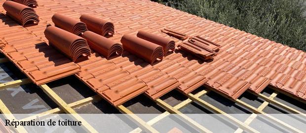 Réparation de toiture camps-sur-l-isle-33660 Couvreur Bordeaux 33