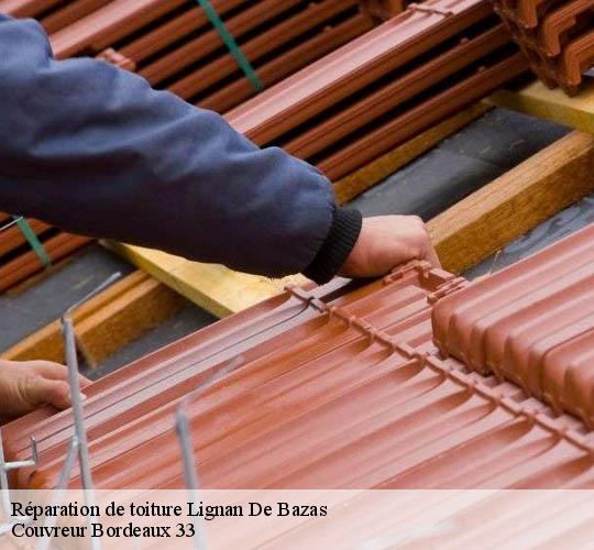 Réparation de toiture  lignan-de-bazas-33430 Couvreur Bordeaux 33
