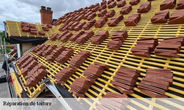 Réparation de toiture  lormont-33310 Couvreur Bordeaux 33