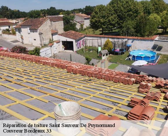 Réparation de toiture  saint-sauveur-de-puynormand-33660 Couvreur Bordeaux 33