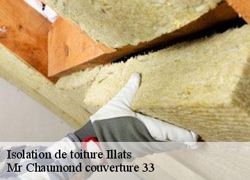 Isolation de toiture illats-33720 Mr Chaumond couverture 33