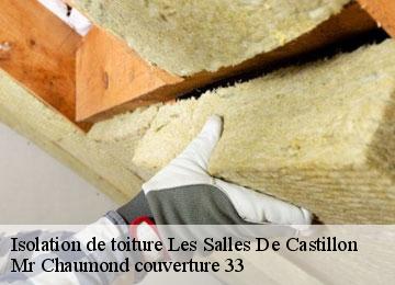 Isolation de toiture les-salles-de-castillon-33350 Mr Chaumond couverture 33