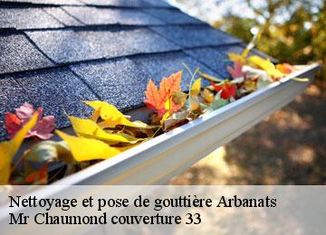 Nettoyage et pose de gouttière  arbanats-33640 Mr Chaumond couverture 33