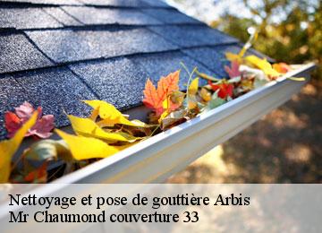 Nettoyage et pose de gouttière  arbis-33760 Mr Chaumond couverture 33