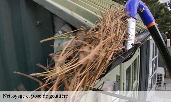 Nettoyage et pose de gouttière  baron-33750 Couvreur Bordeaux 33