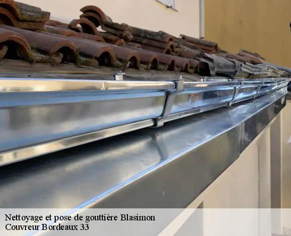 Nettoyage et pose de gouttière blasimon-33540 Couvreur Bordeaux 33