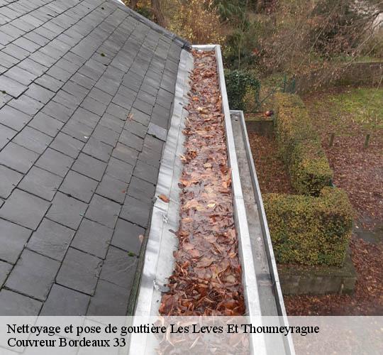 Nettoyage et pose de gouttière  les-leves-et-thoumeyrague-33220 Couvreur Bordeaux 33