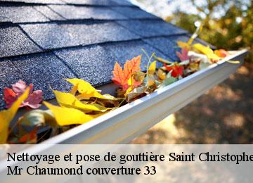 Nettoyage et pose de gouttière  saint-christophe-des-bardes-33330 Mr Chaumond couverture 33