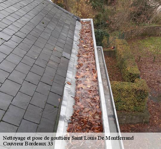 Nettoyage et pose de gouttière saint-louis-de-montferrand-33440 Couvreur Bordeaux 33