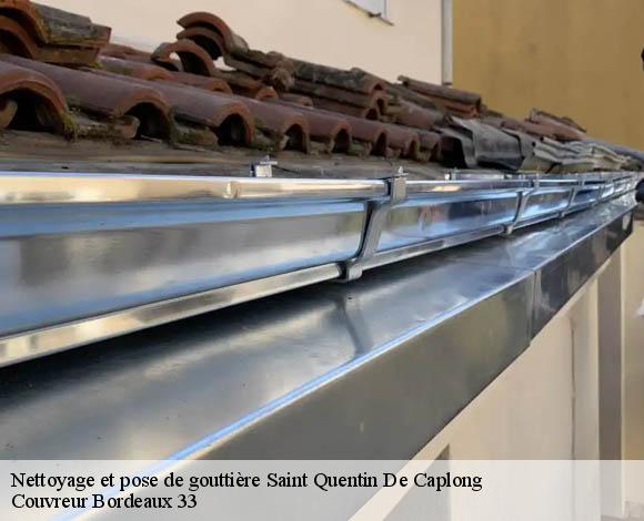 Nettoyage et pose de gouttière  saint-quentin-de-caplong-33220 Couvreur Bordeaux 33