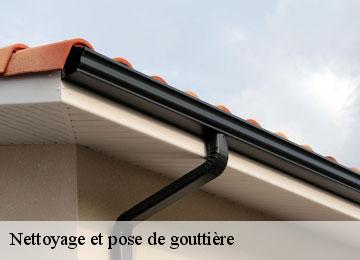 Nettoyage et pose de gouttière