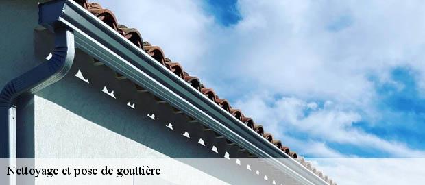 Nettoyage et pose de gouttière  savignac-33124 Couvreur Bordeaux 33